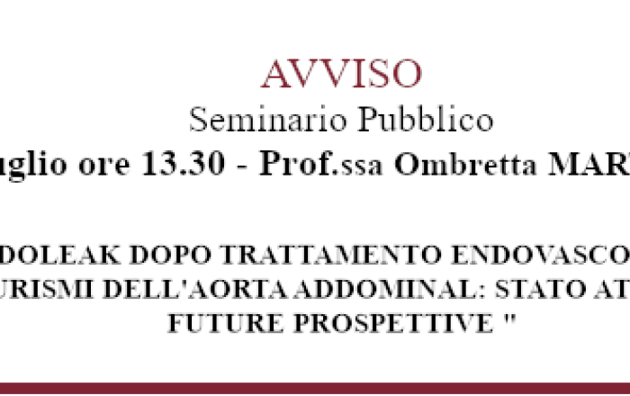 Public Seminar
