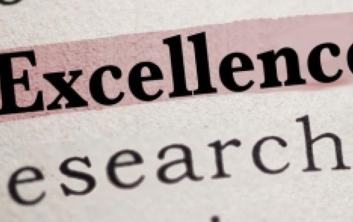 SAPIEXCELLENCE 2021 - BANDO BE-FOR-ERC